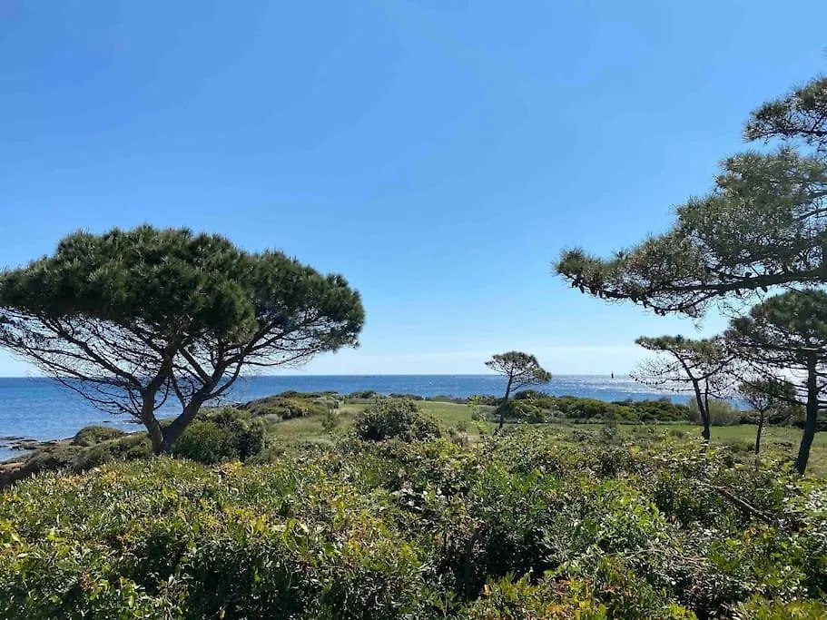 Beau 2 Pieces, Magnifique Vue Mer Et Piscine レ・ズィサンブル